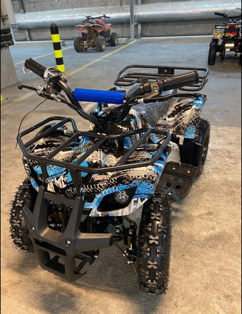 Electric budbuda  - 2
