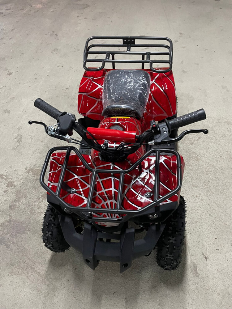 Electric budbuda  - 1