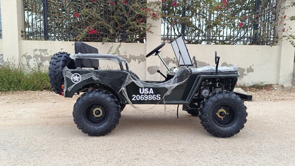Mini jeep  - 1