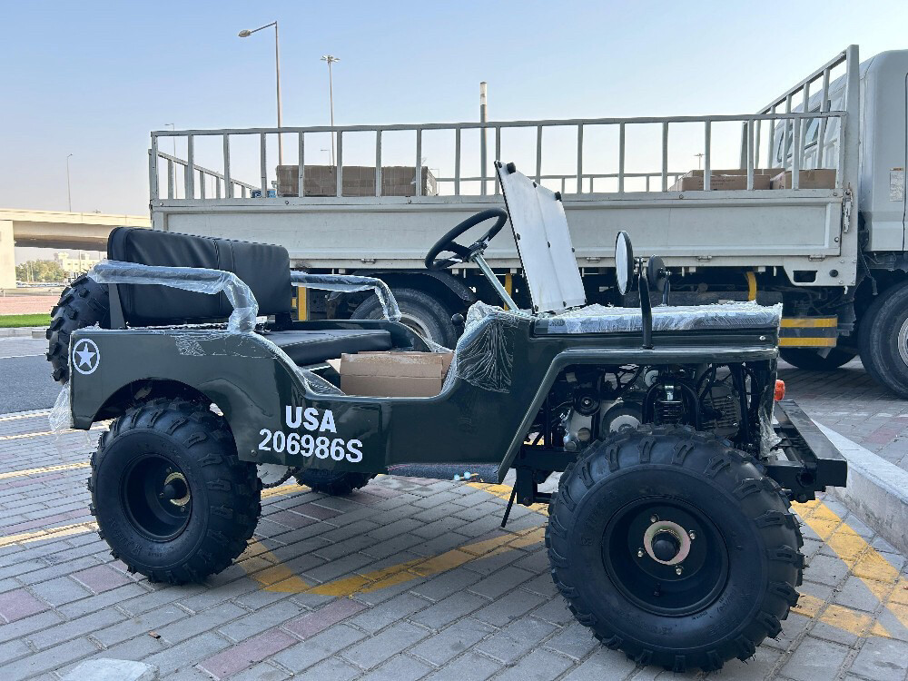 Mini jeep  - 3