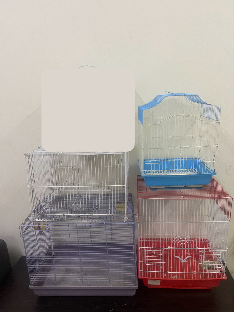 4 cages - 1