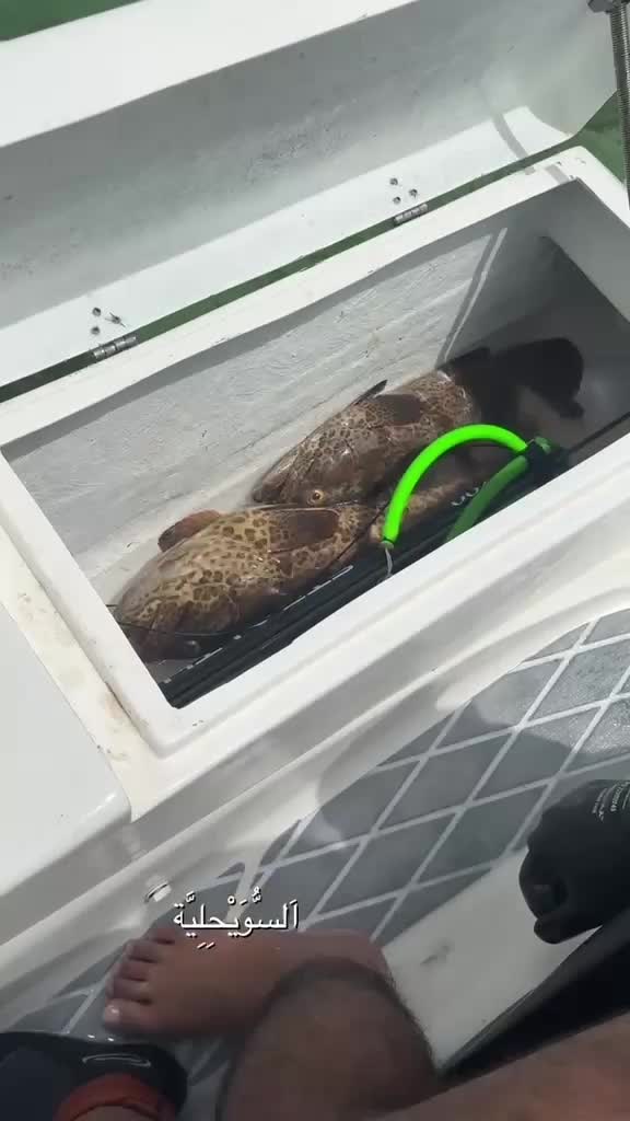 جت سكي سيدو - 3