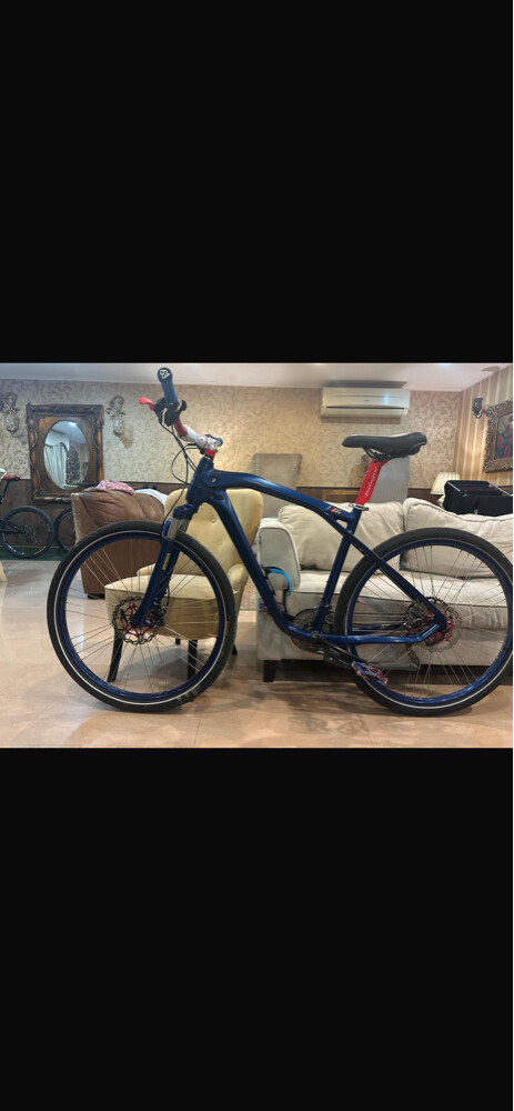 ORIGINAL BMW BICYCLE 28 - 3