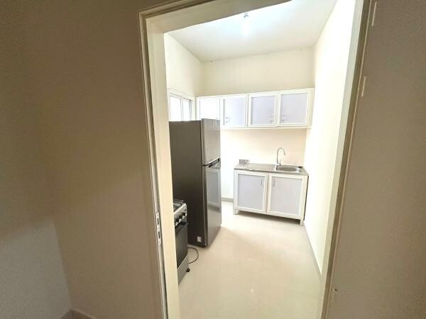 Spacious Penthouse near Metro link - 4