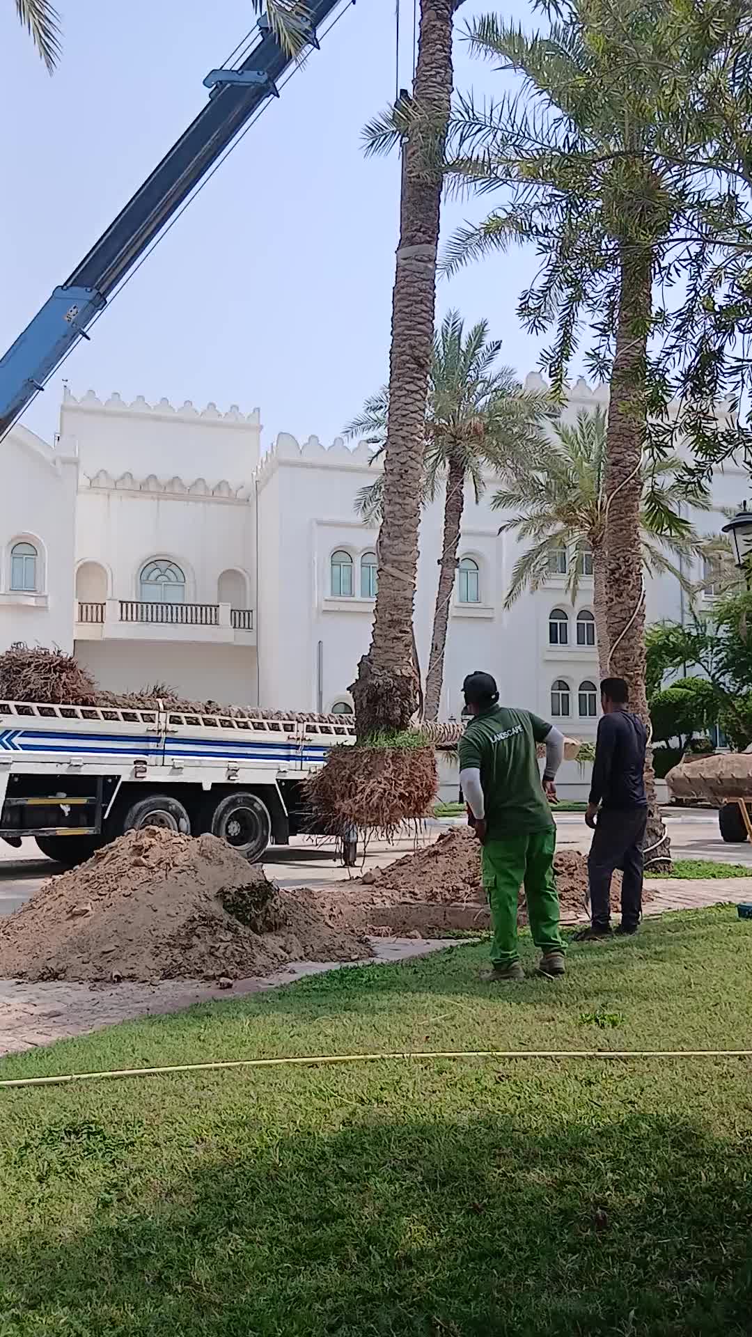 أنا لا أبيع ولا أشتري أشجار - 1
