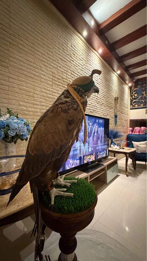 قرموشة حرار روسية فاخرة - 3