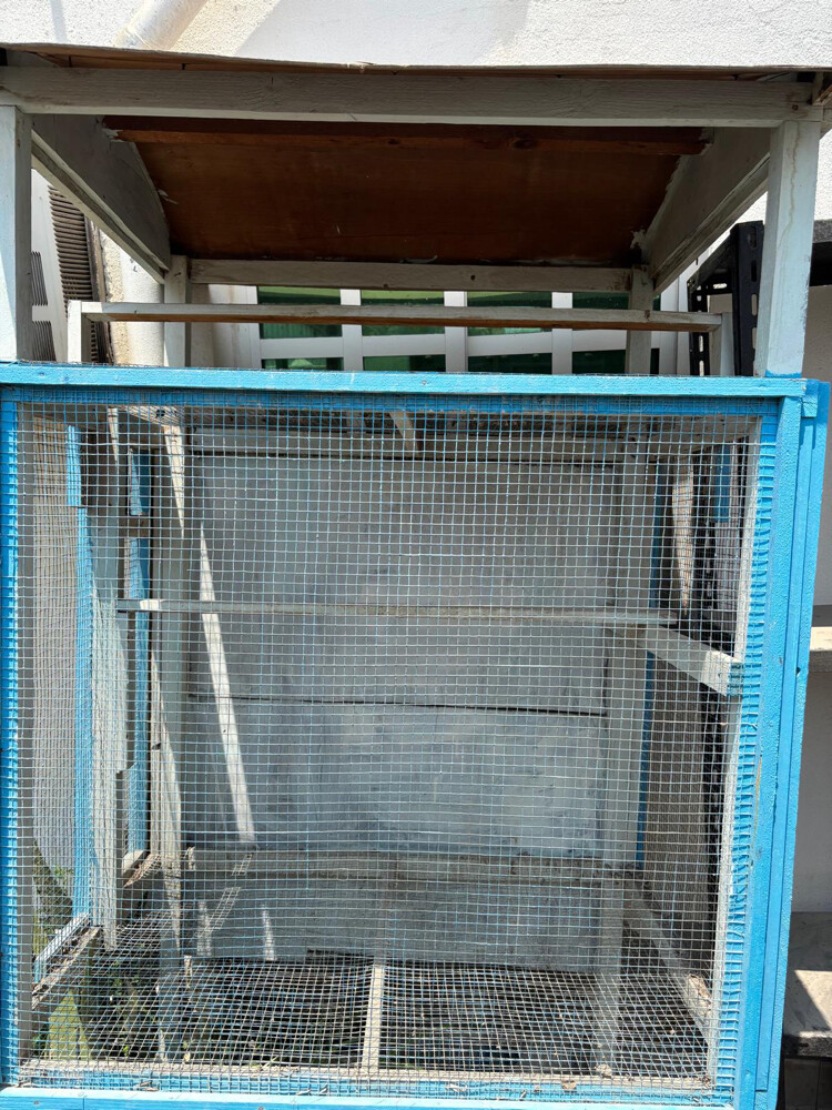 Big bird cage “negotiable”very good - 3