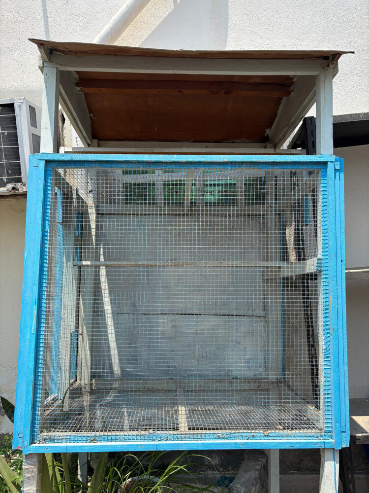 Big bird cage “negotiable”very good - 1
