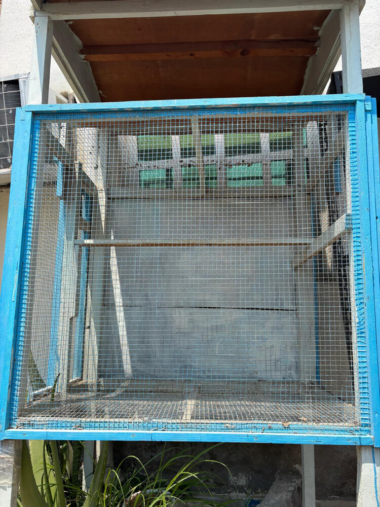 Big bird cage “negotiable”very good - 2