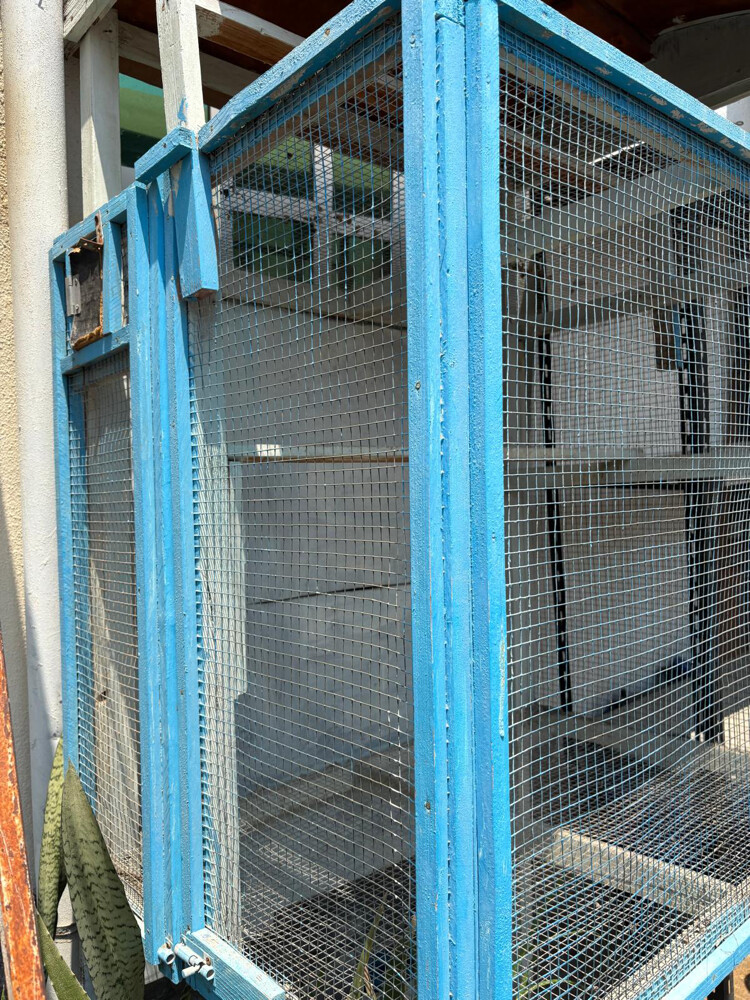 Big bird cage “negotiable”very good - 4