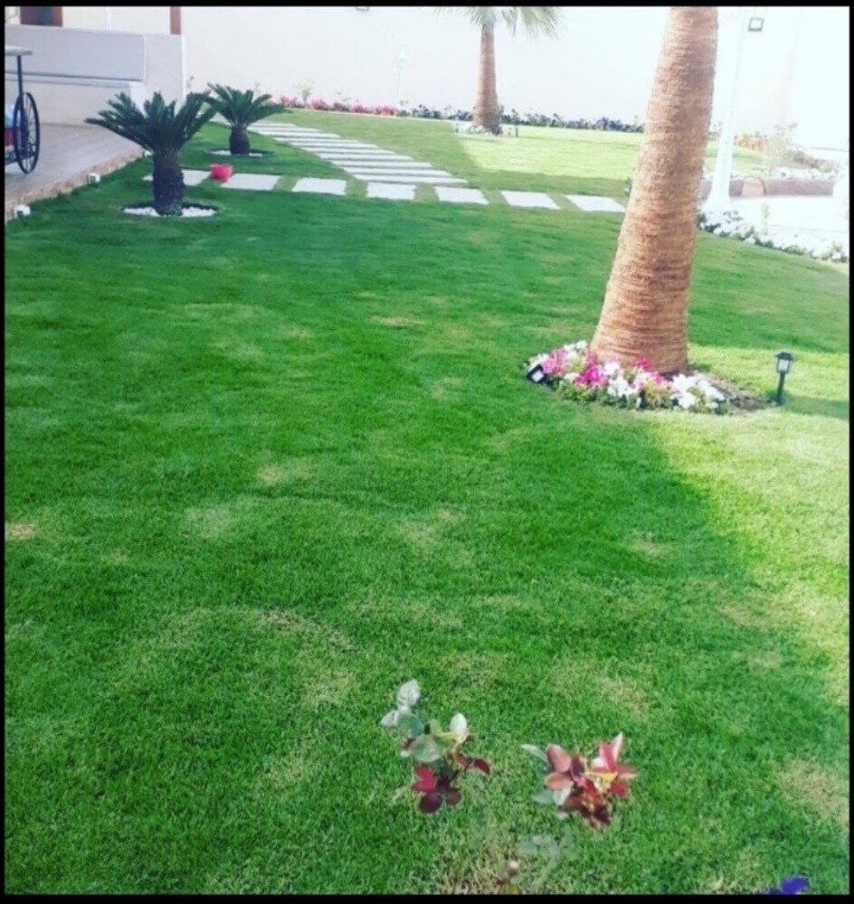 حسن لأند سكيب - 2