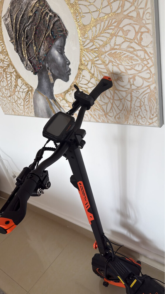 Kugoo f3 pro max - 1
