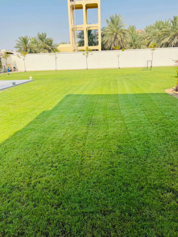 الحدائق  - 10