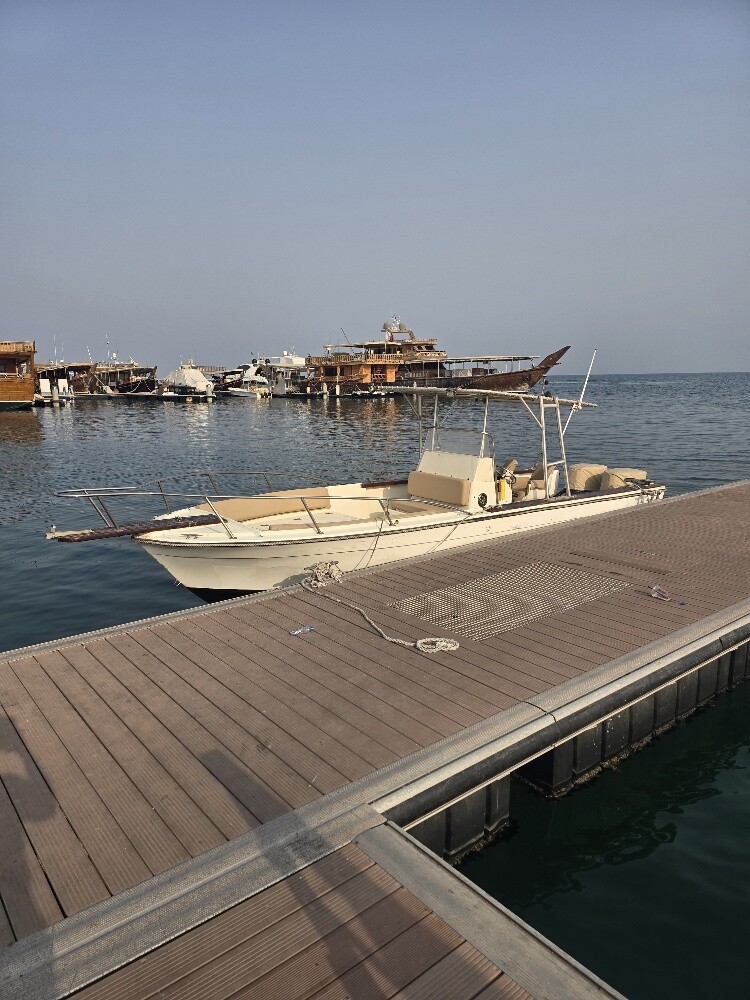 boat 25ft - 1
