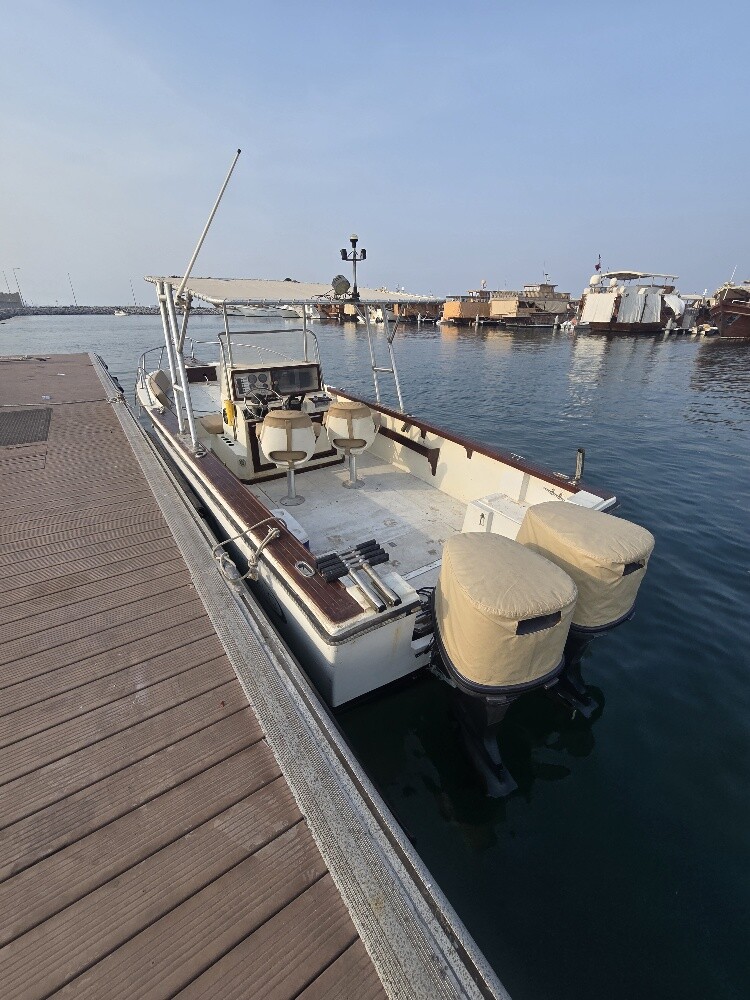 boat 25ft - 9