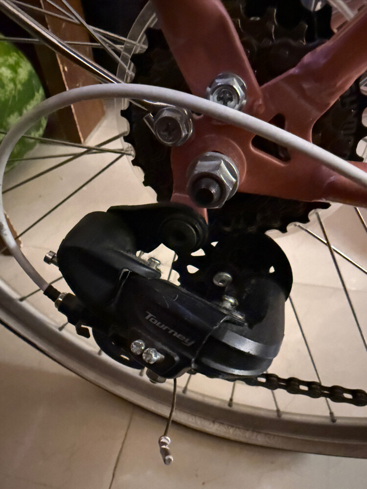 (Spartan Classic Bike) - 2