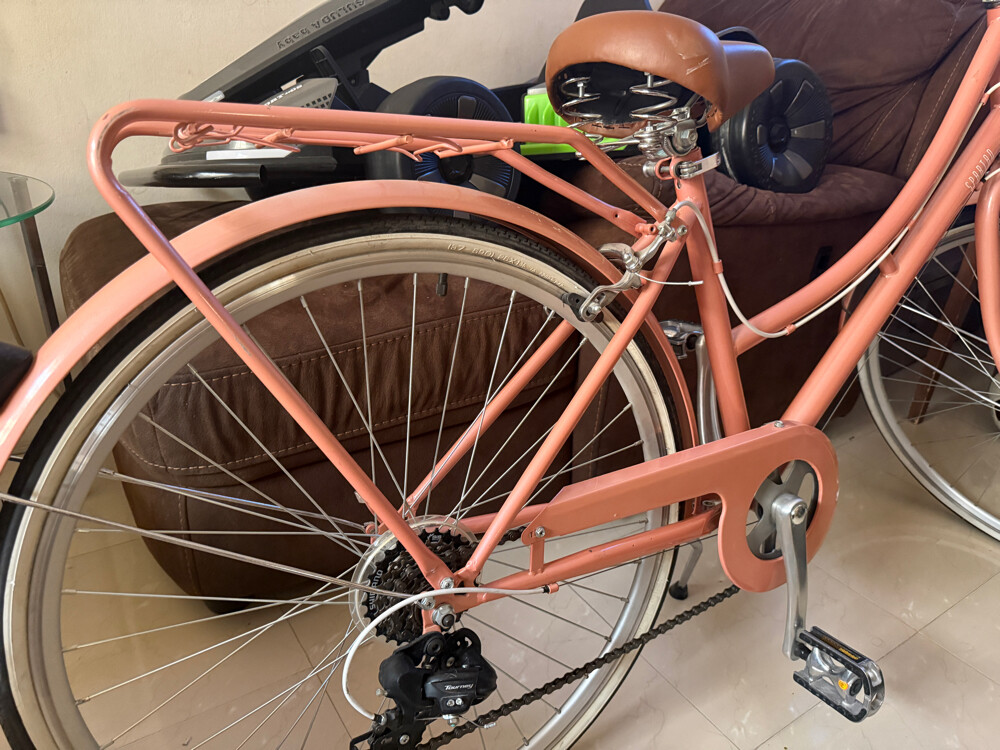 (Spartan Classic Bike) - 5