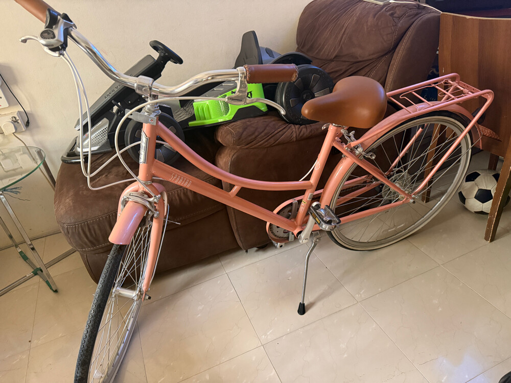 (Spartan Classic Bike) - 7