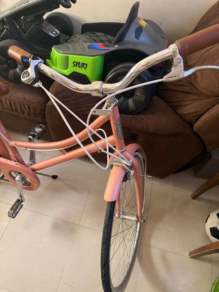 (Spartan Classic Bike) - 4
