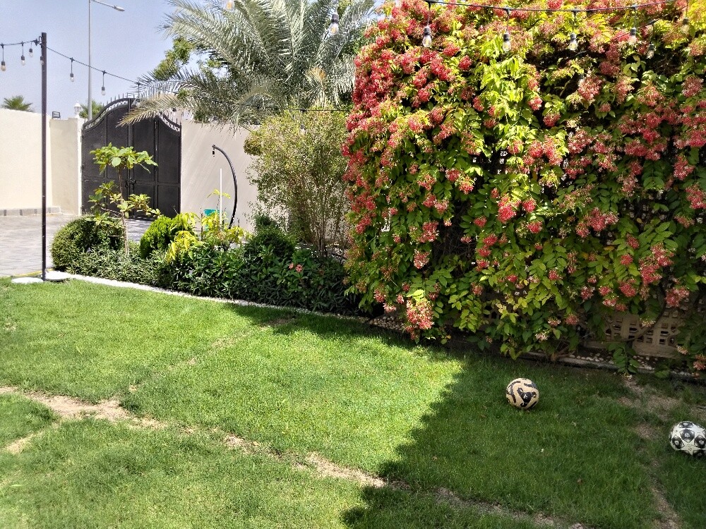 شبكات الرياي - 3