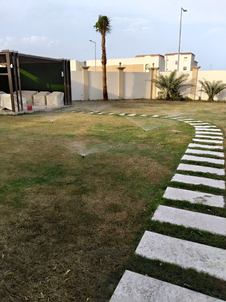 شبكات الرياي - 1