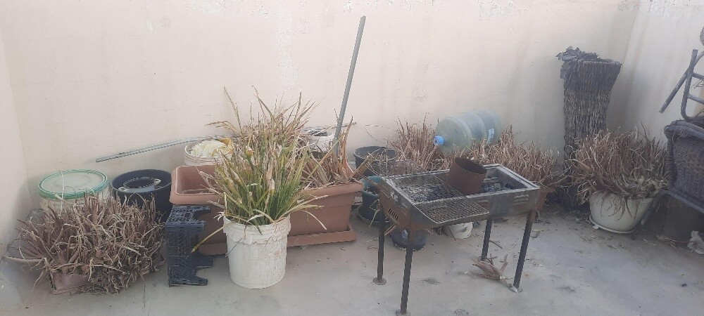 حوض زراعة اصيص - 2