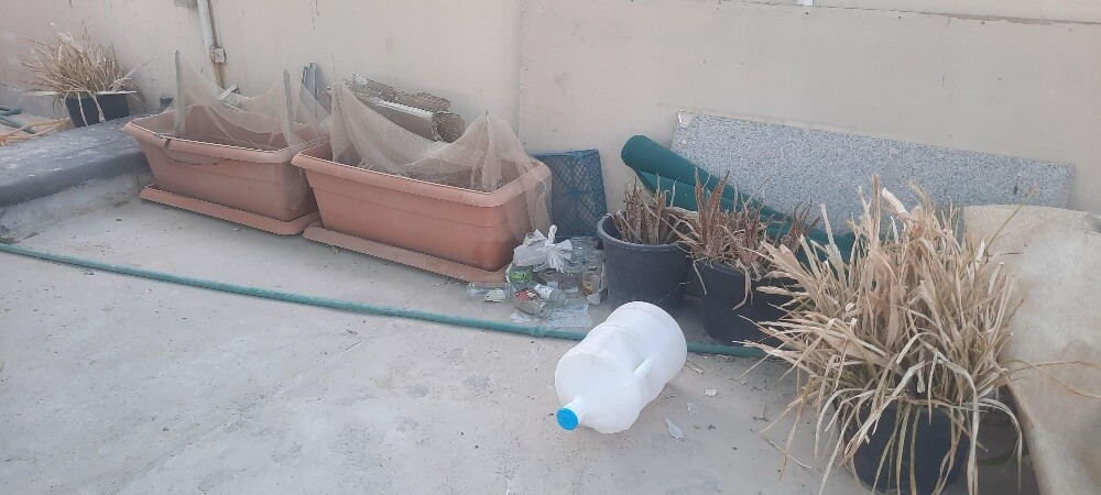 حوض زراعة اصيص - 5