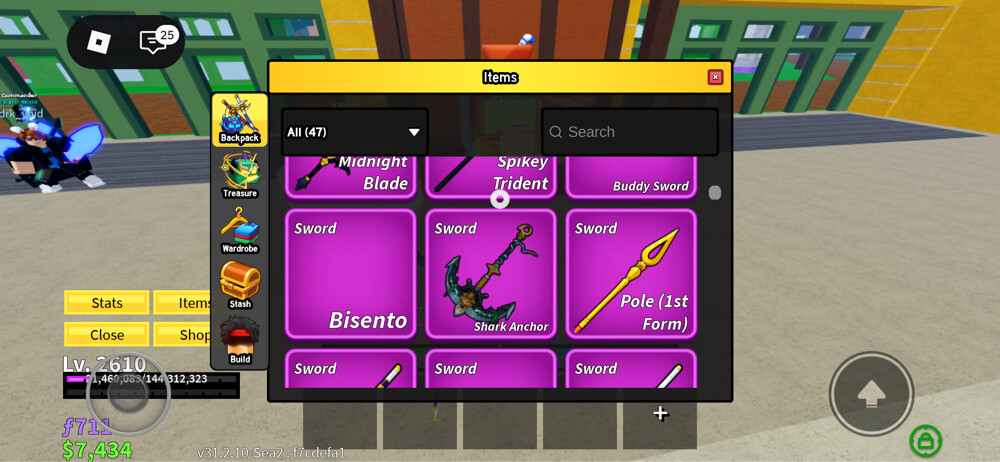 Blox fruit - 17