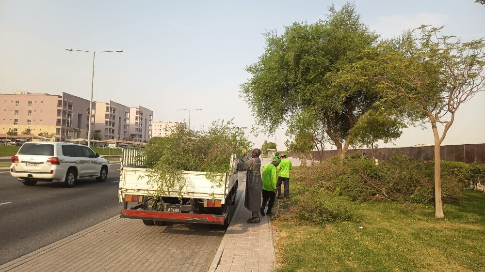 القيام بالأعمال الزراعية المختلفة - 2