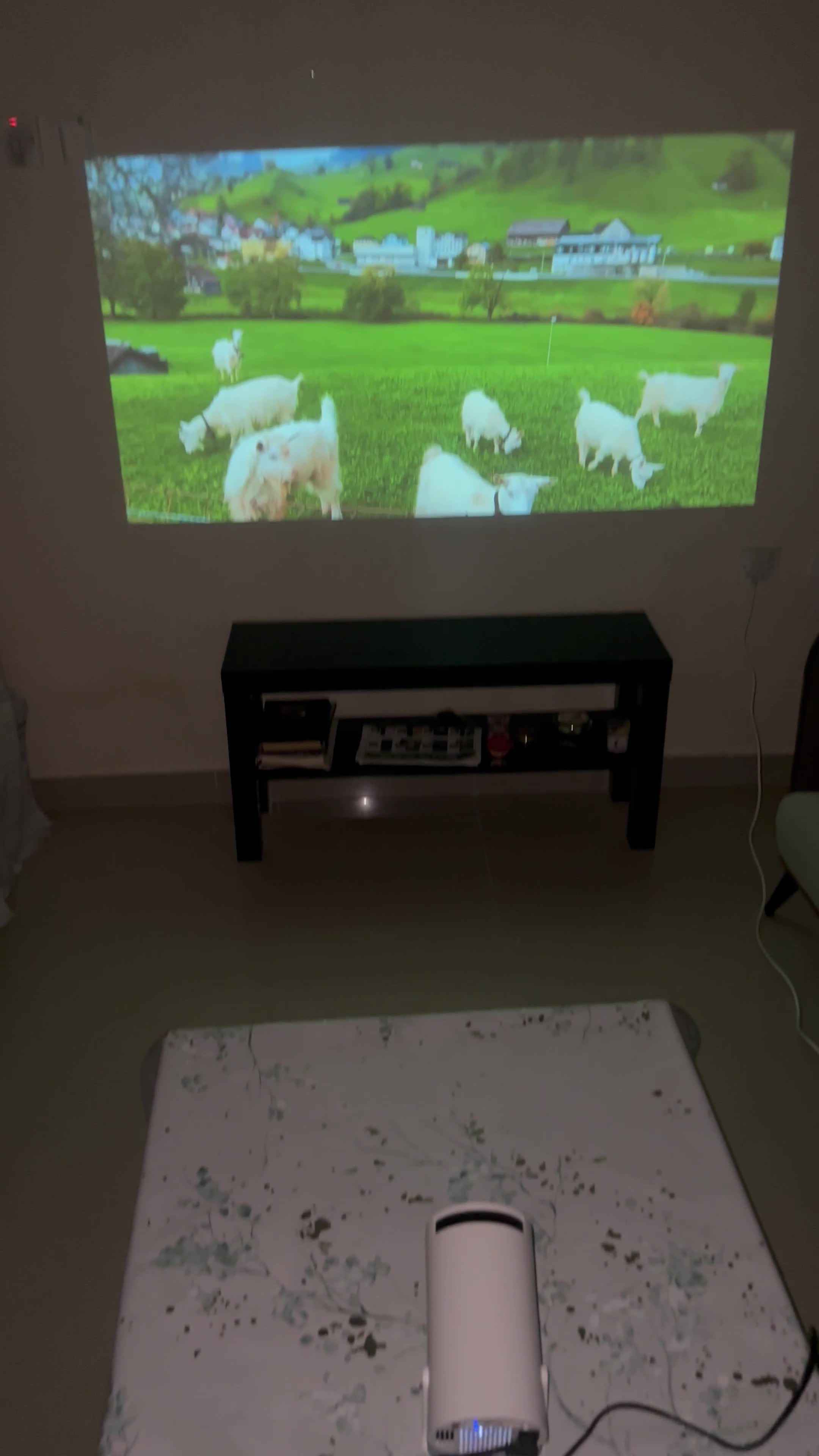 Projector - 4