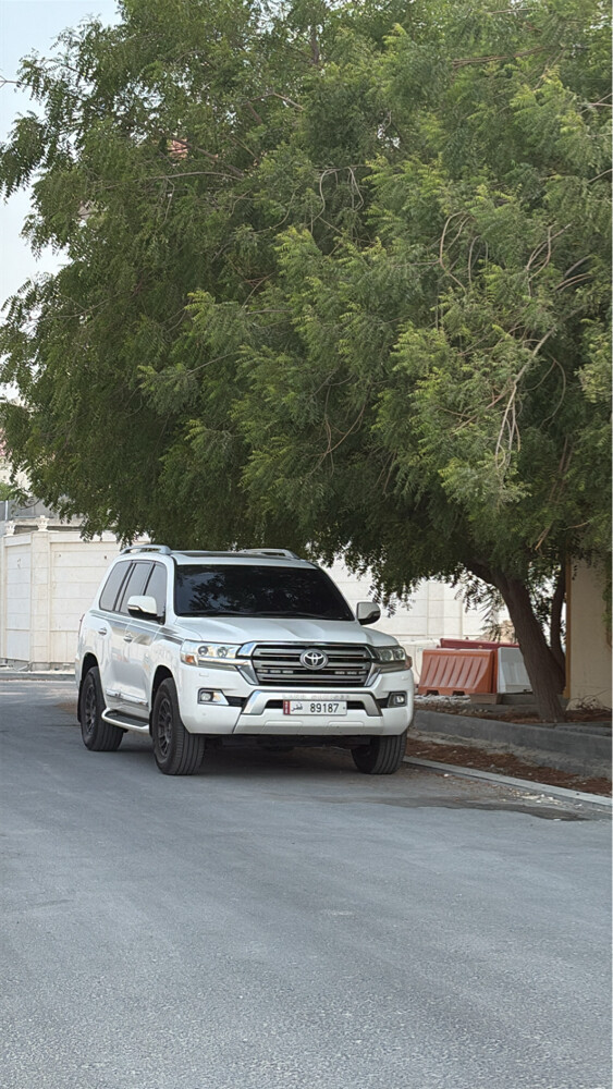 جابر الشرشني - 4