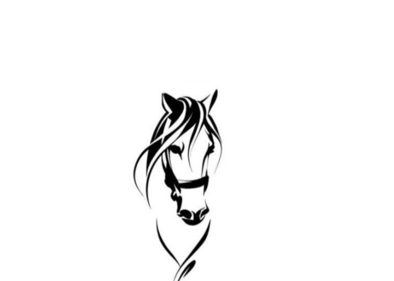 عربه خيل 5 روس - 2