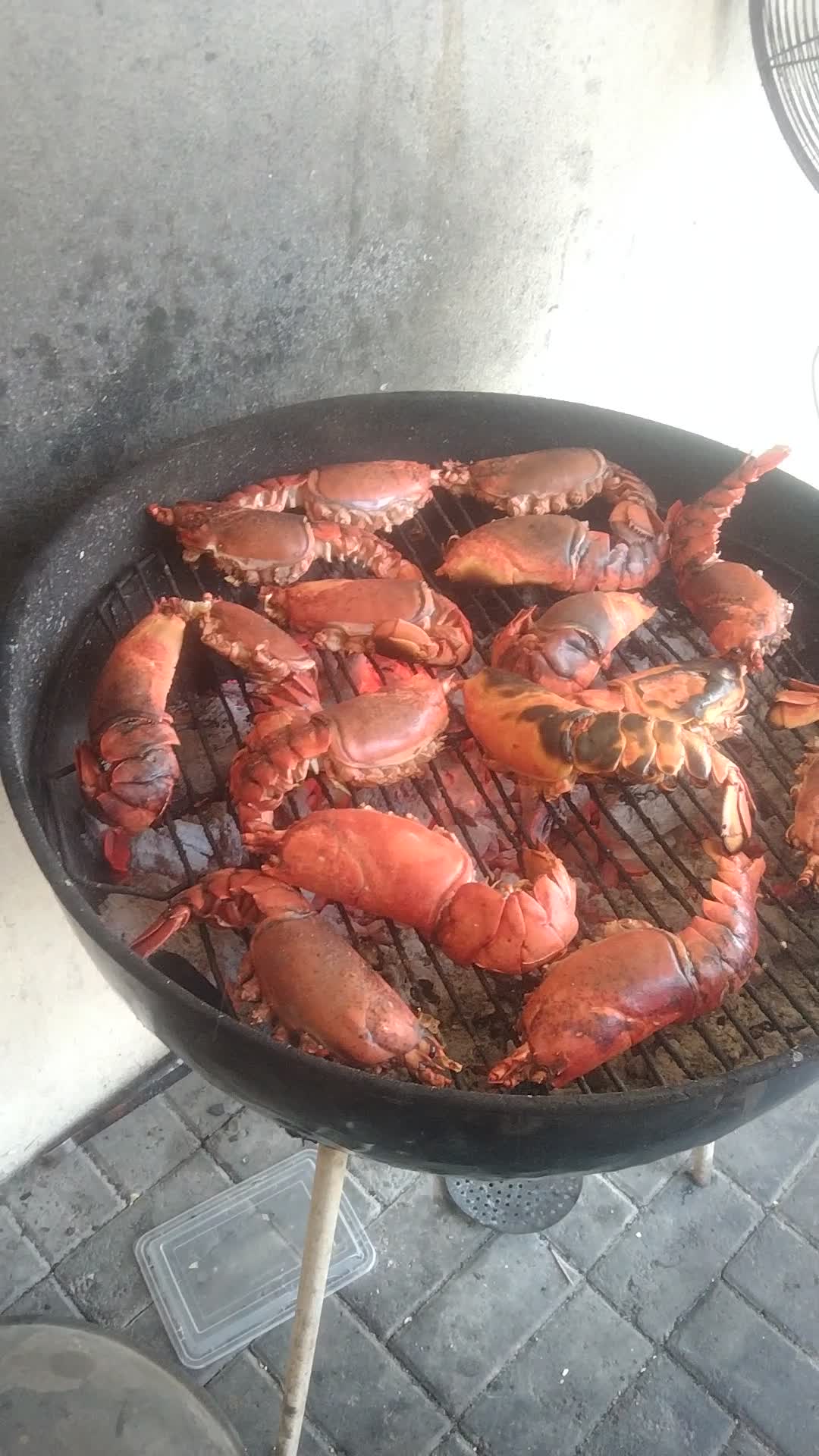 طباخ مأكولات عربية - 1