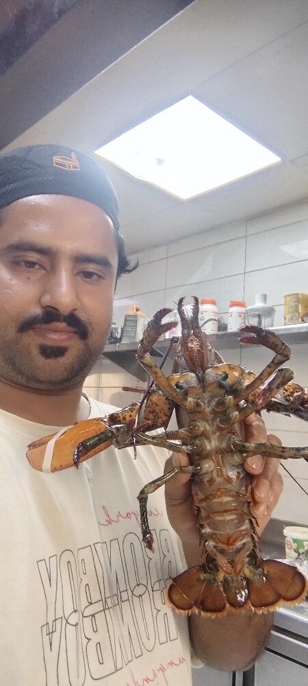 طباخ مأكولات عربية - 3