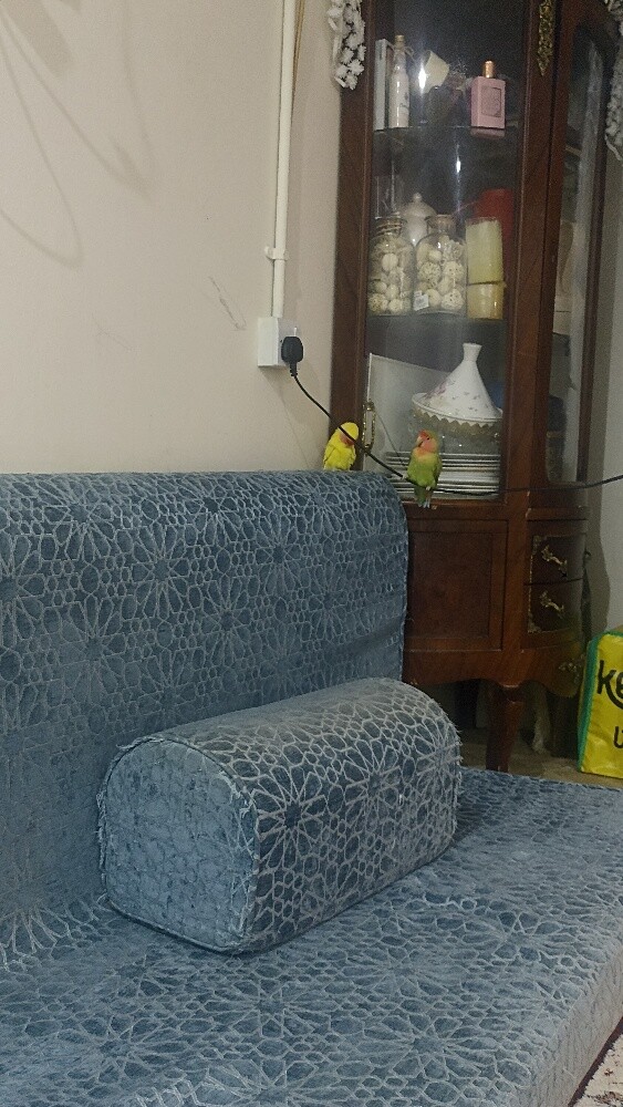 للبيع - 1