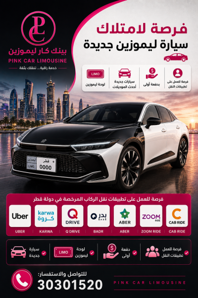 OPPORTUNITY TO OWN A LIMOUSINE CAR - 2