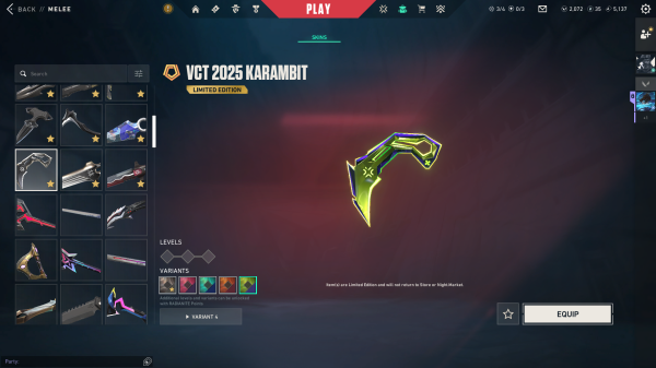 Valorant Champion 21-24 +350 Skins - 10