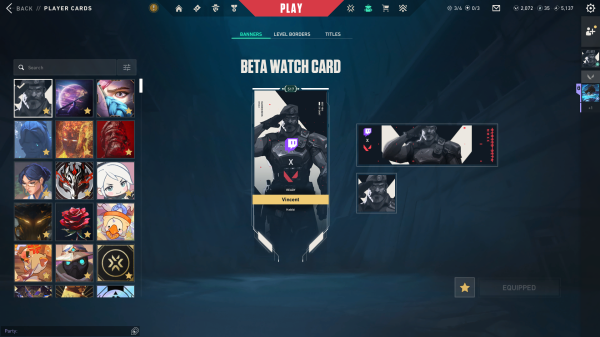 Valorant Champion 21-24 +350 Skins - 12