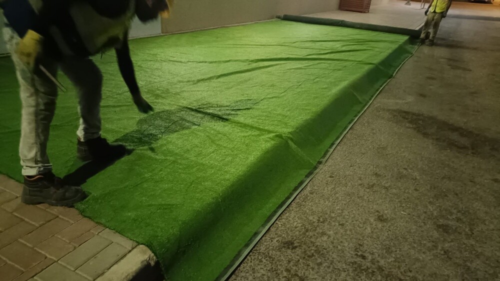 Used Artificial Grass Carpet Sale - 2