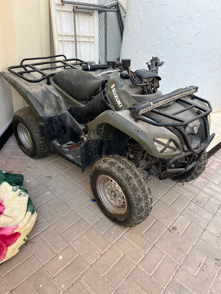 Suzuki Ozark 250 - 3