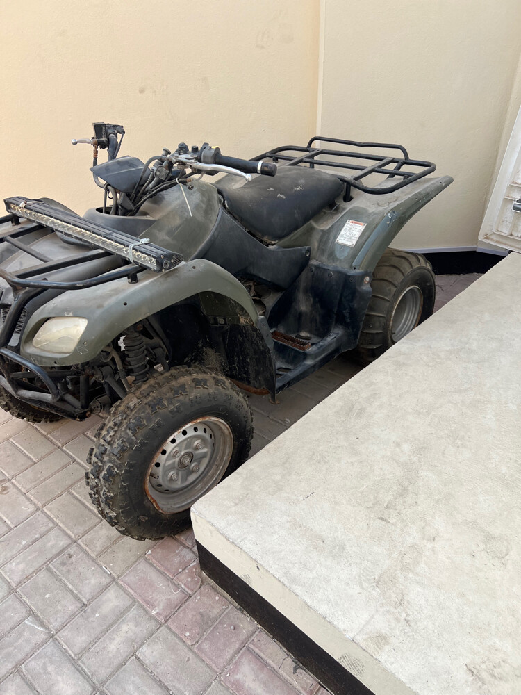 Suzuki Ozark 250 - 2