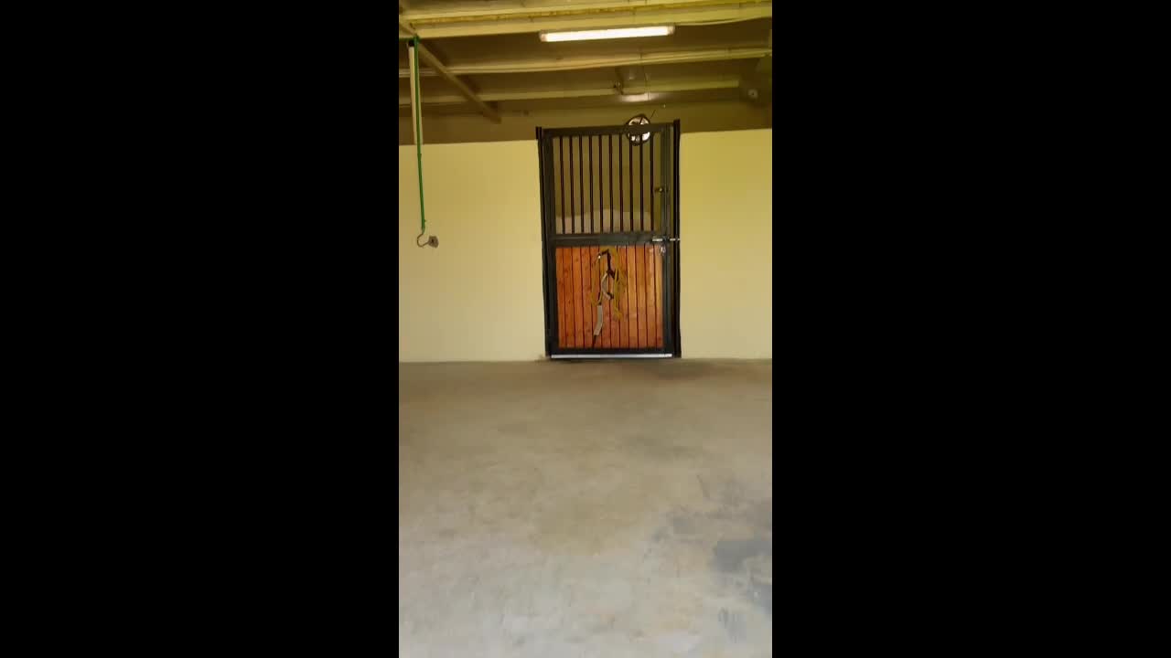 ايواء الخيل - 7