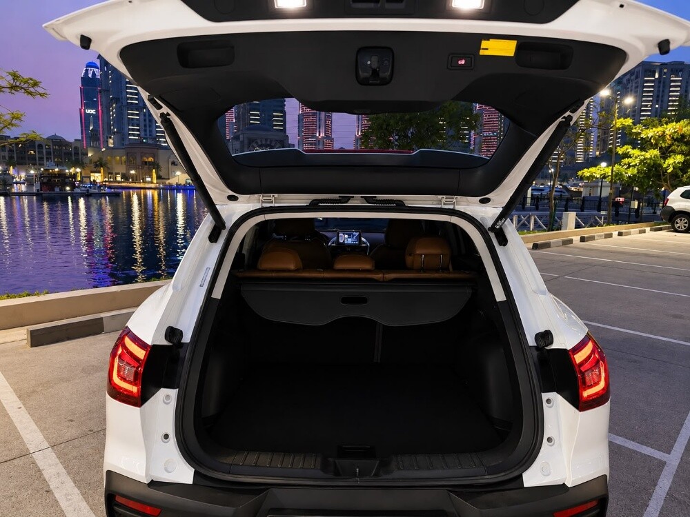 Borgward X5 - 10