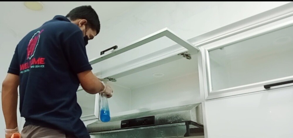 خدمات تنظيف الفلل والمجالس - 16
