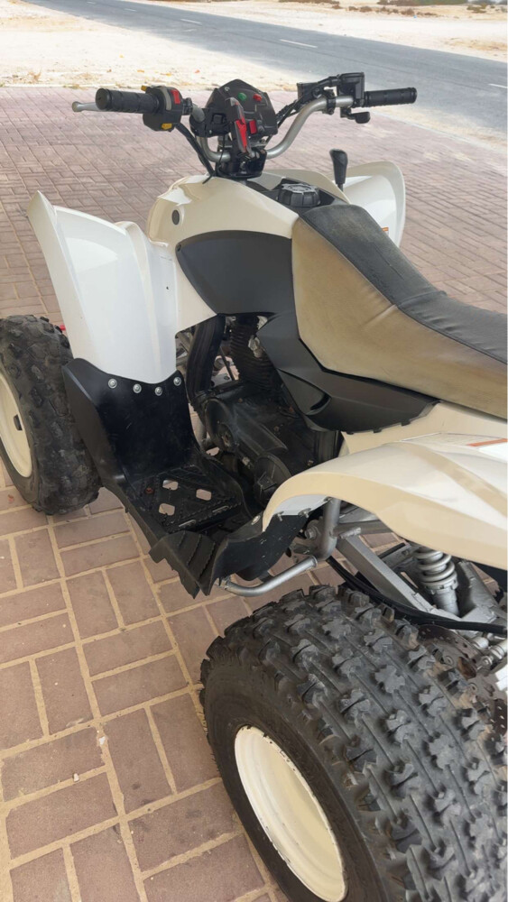 للبيع - 2