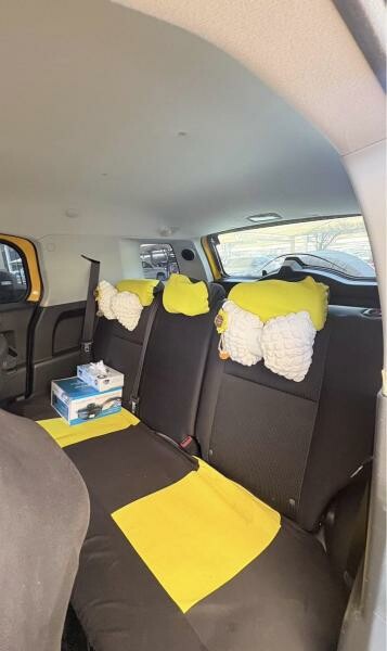 Fj cruiser 2022 for sale - 3