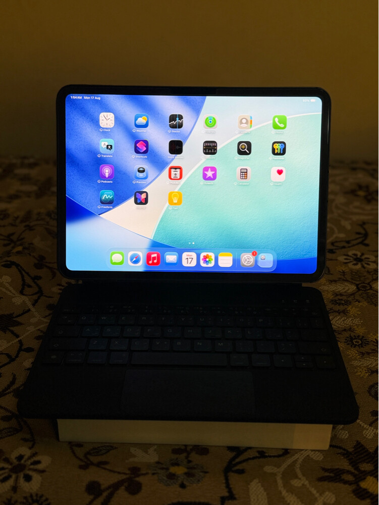 IPad Pro M5 wifi plus Cellular  - 6