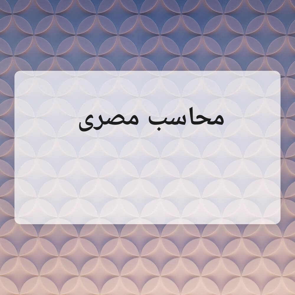 محاسب مصرى - 1