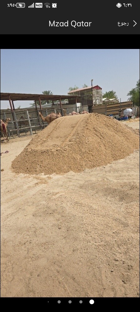 رمل مغسول ورمل بلاستر - 2