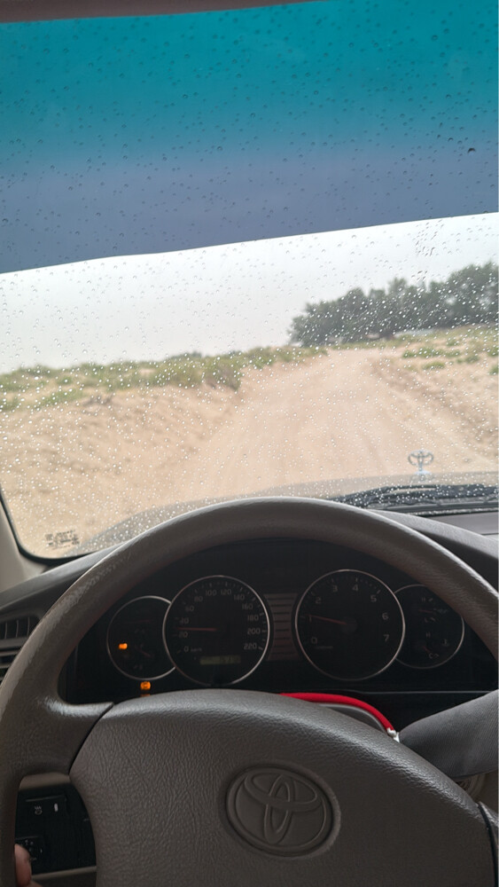 بيع - 10
